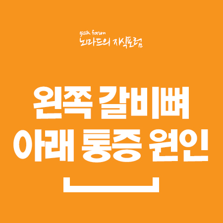  왼쪽 갈비뼈 아래 통증 원인 정리