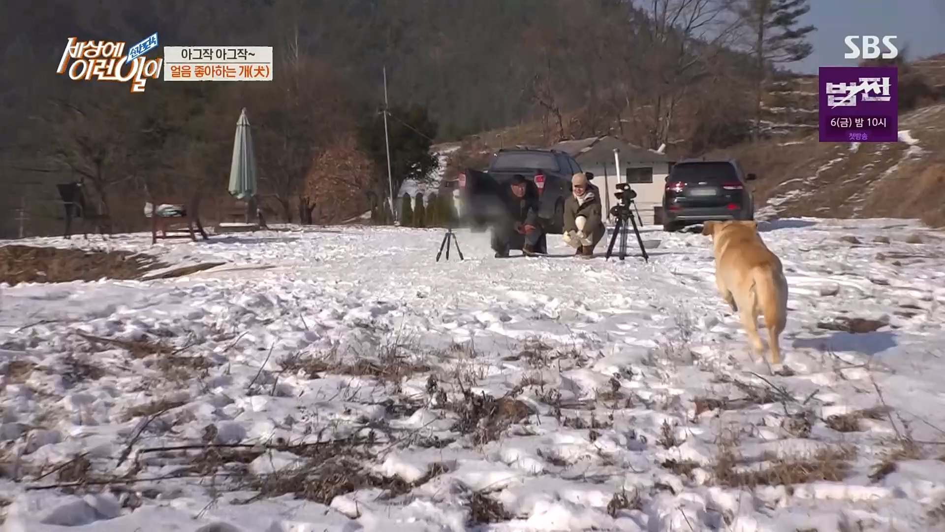 순간포착 세상에 이런일이.E1212.230103p.H264-F1RST.mp4_20230105_192335.368.jpg