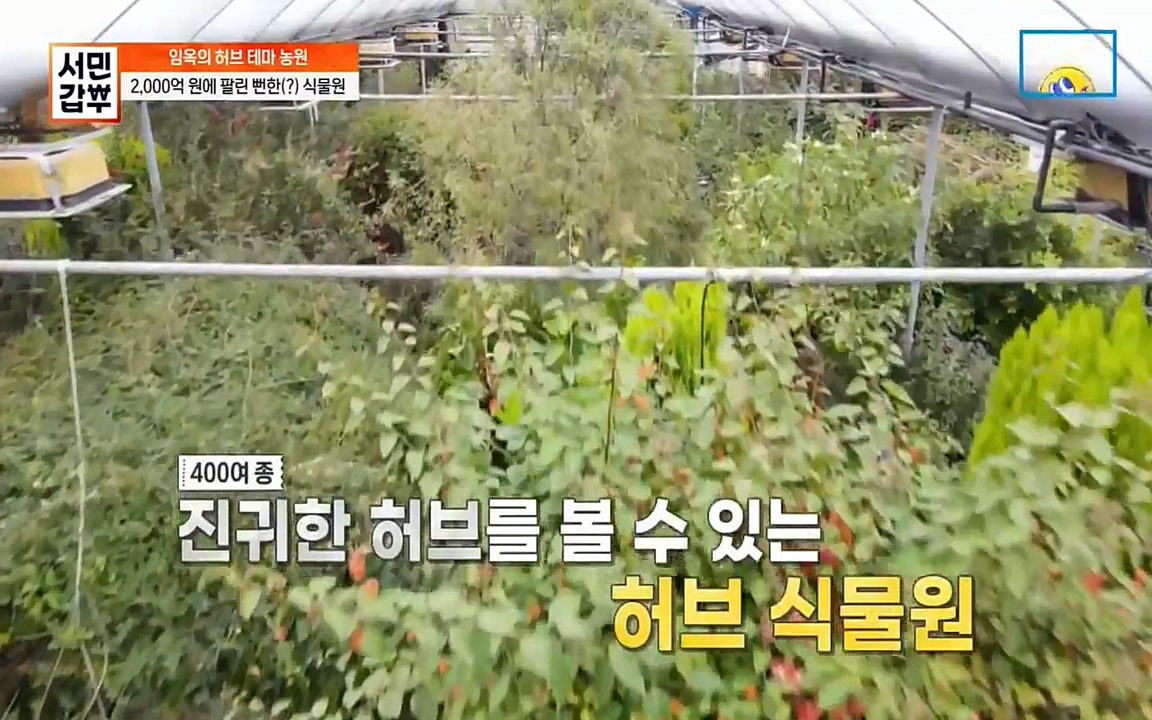 서민 갑부.E380.220424p-NEXT.mp4_20220424_182311.537.jpg