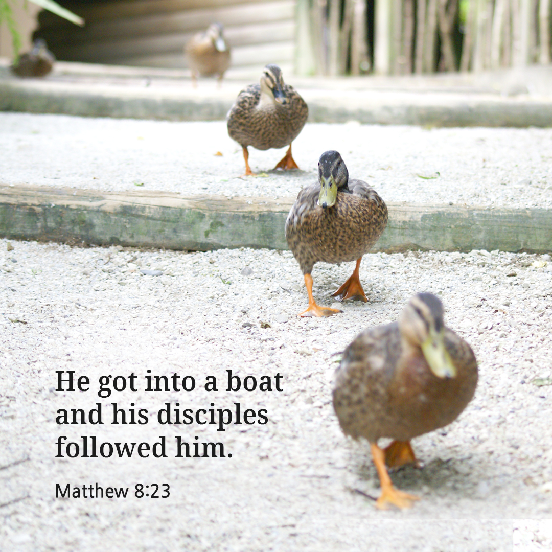 He got into a boat and his disciples followed him. (Matthew 8:23)