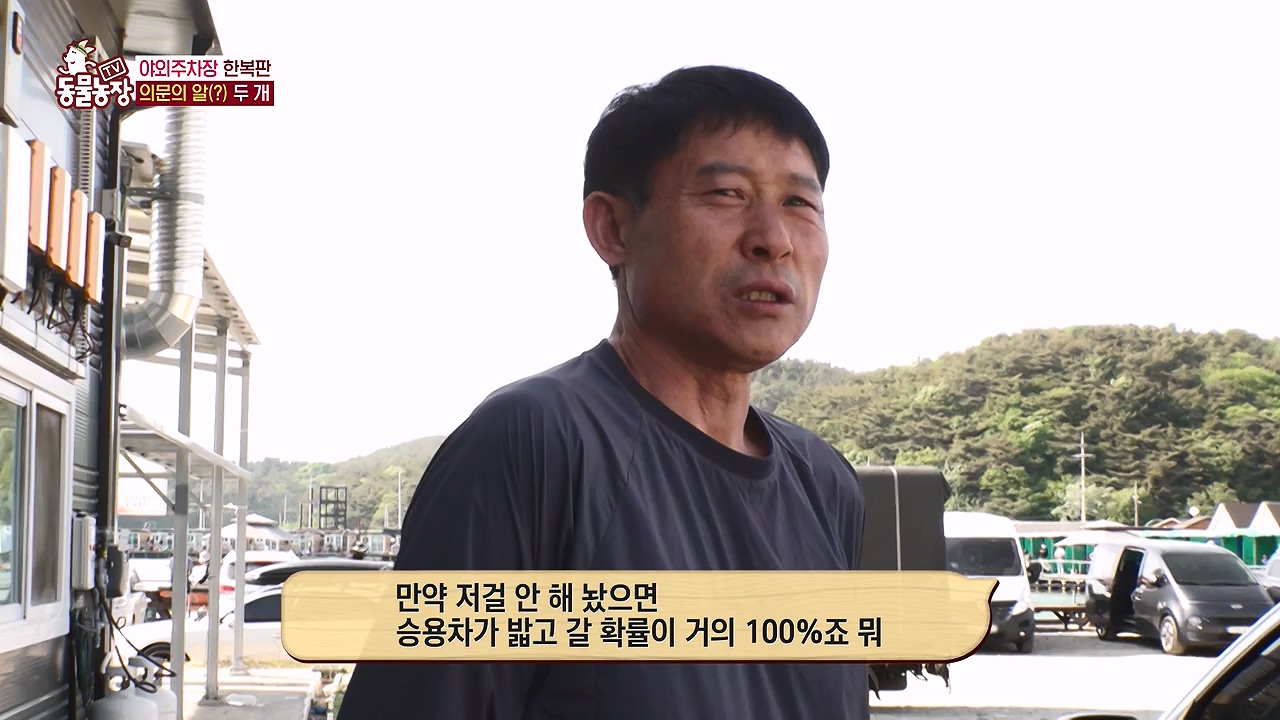 TV 동물농장.E1176.240617p-NEXT.mp4_20240616_171029.383.jpg