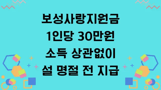 보성사랑지원금