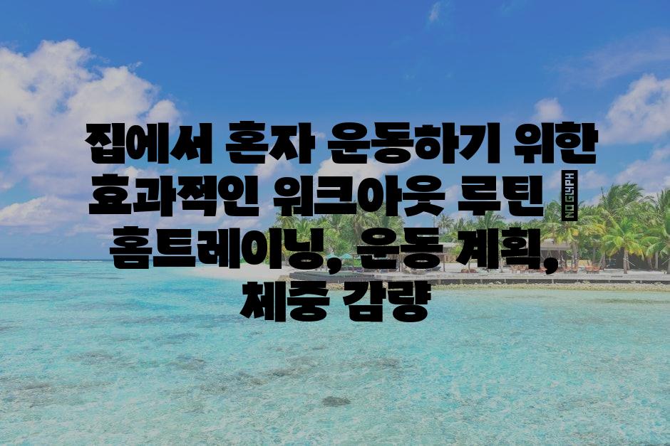 샘플 (72)