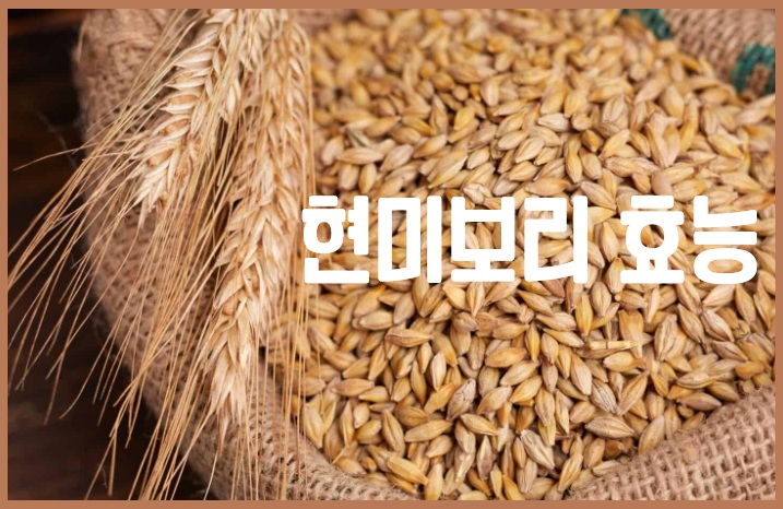 현미보리 효능