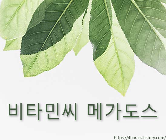 비타민씨-효능-이미지