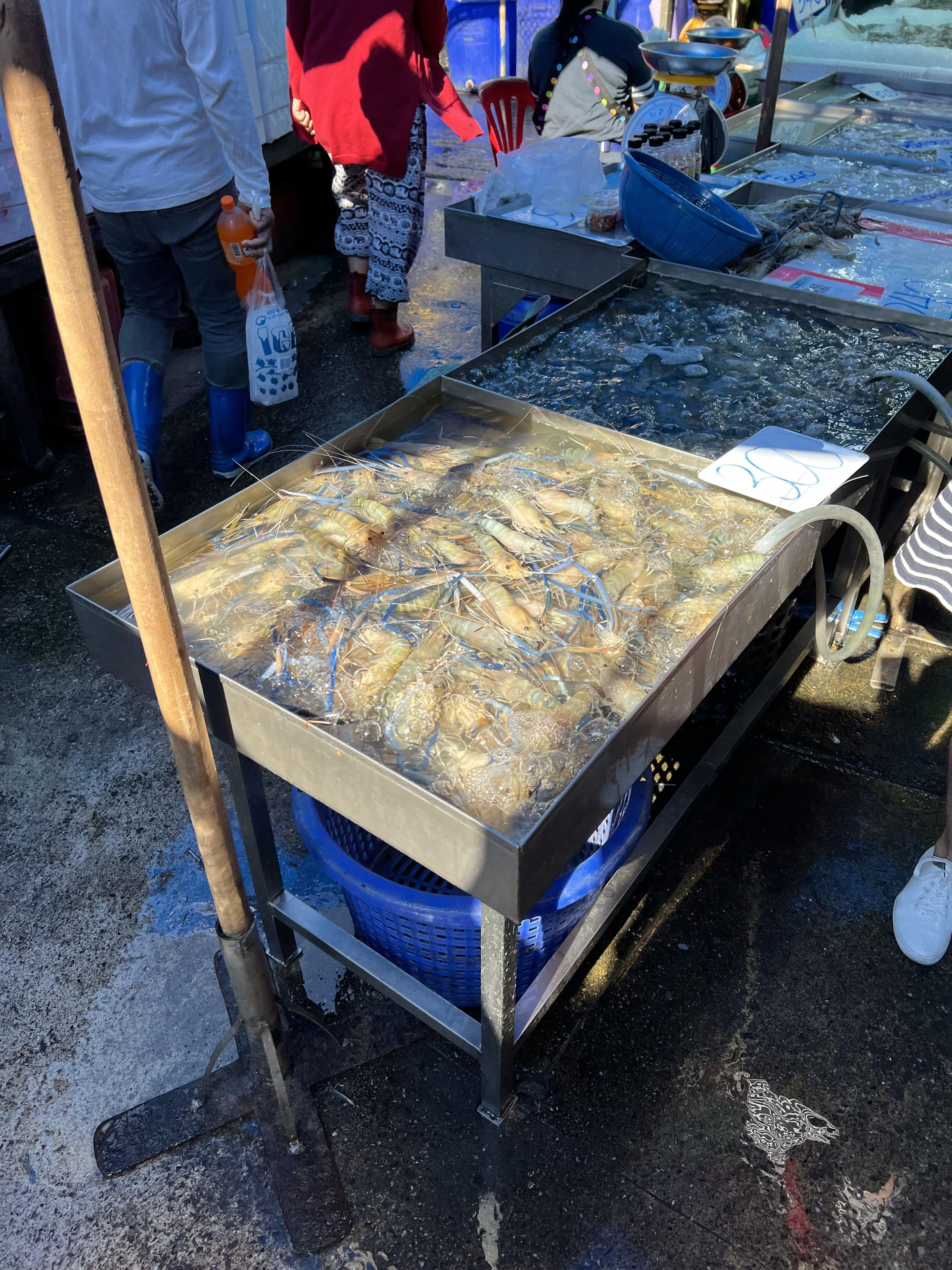 파타야 수산 시장의 왕새우