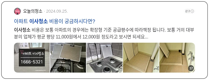 테무 쇼핑_2_subsection