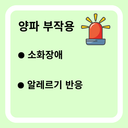 양파 부작용