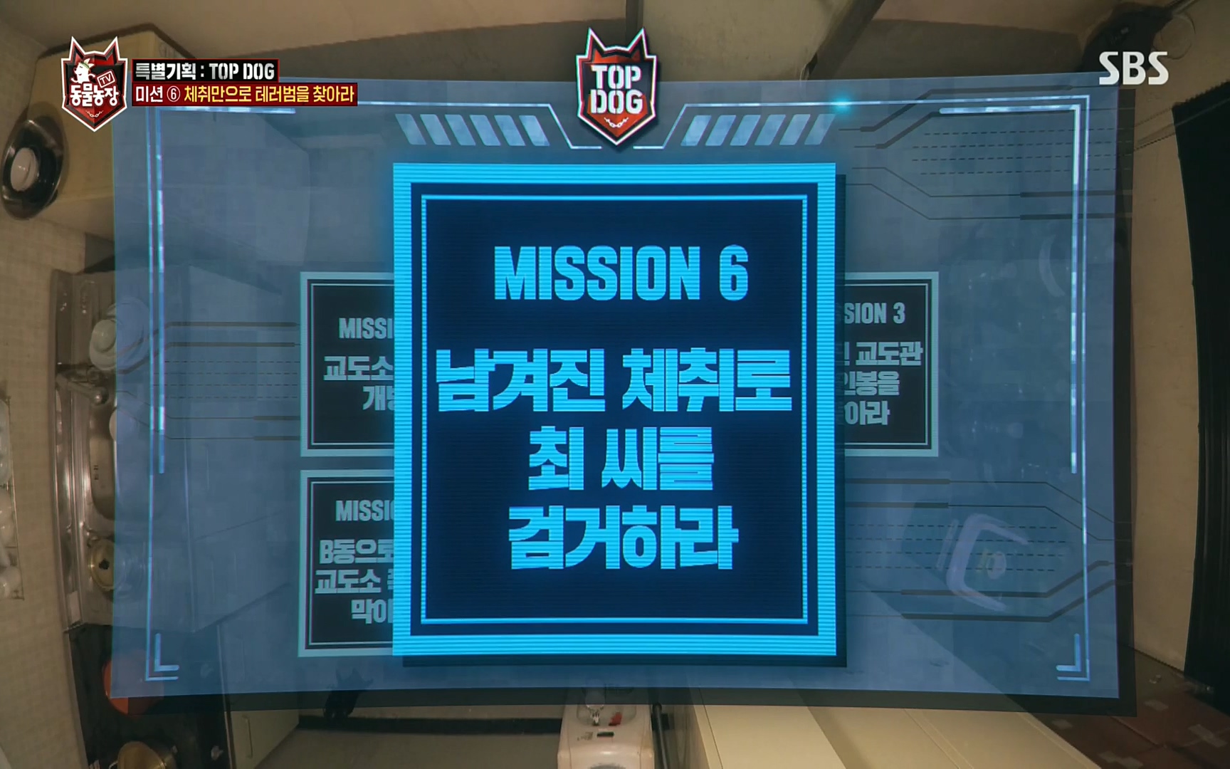 TV 동물농장.E1086.220911p.H264-F1RST.mp4_20220911_174610.963.jpg