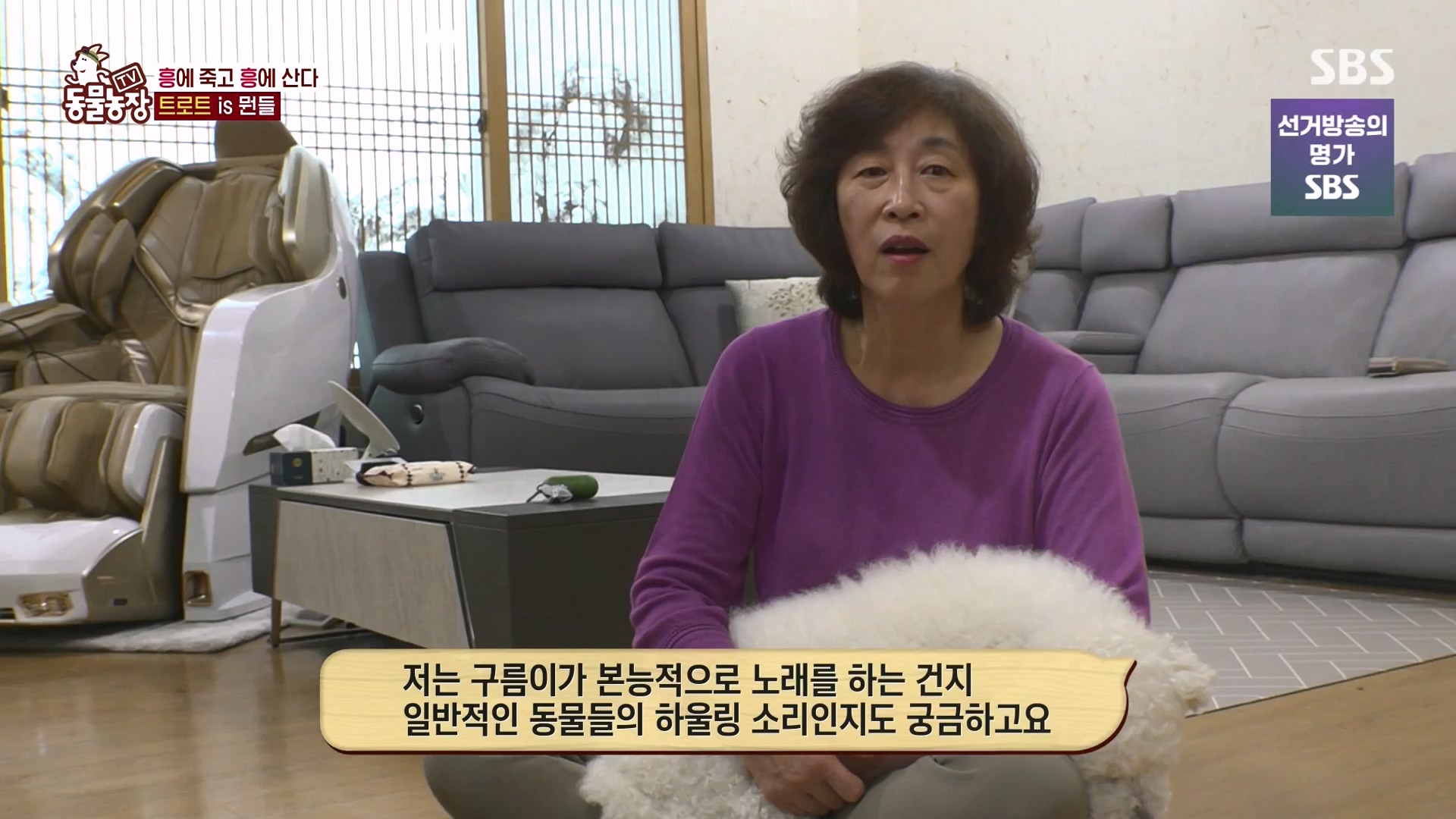 TV 동물농장.E1166.240407p-NEXT.mp4_20240407_164502.833.jpg