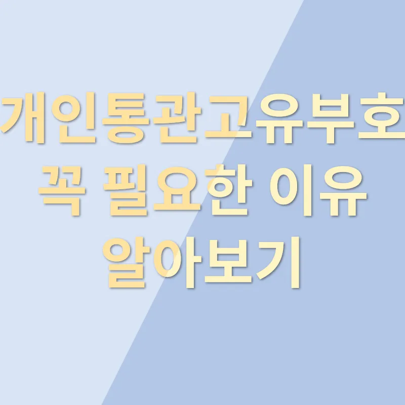 교통위반_3