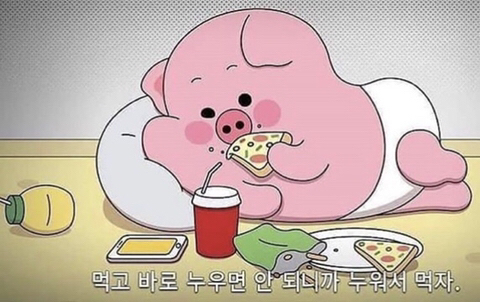  낼부터 카니라이스 달립니다...