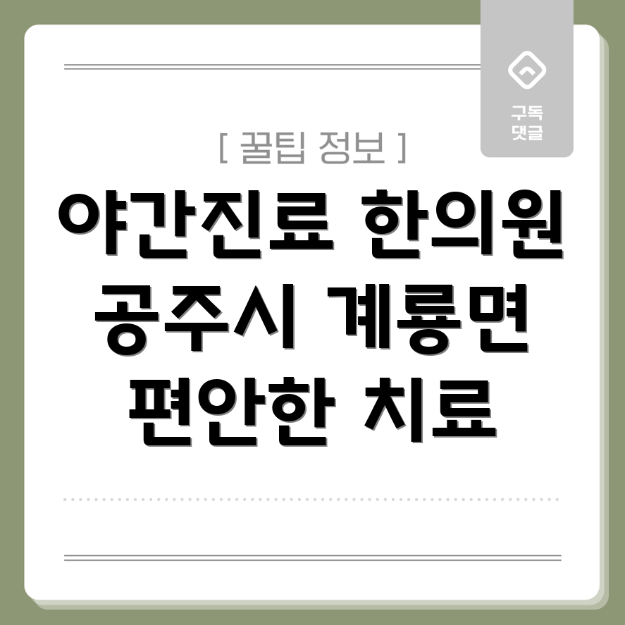 공주시 계룡면 야간진료 한의원
