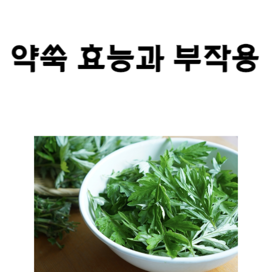약쑥 효능과 부작용