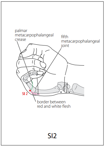 수태양소장경(SI) > SI2 전곡 (前谷) 1