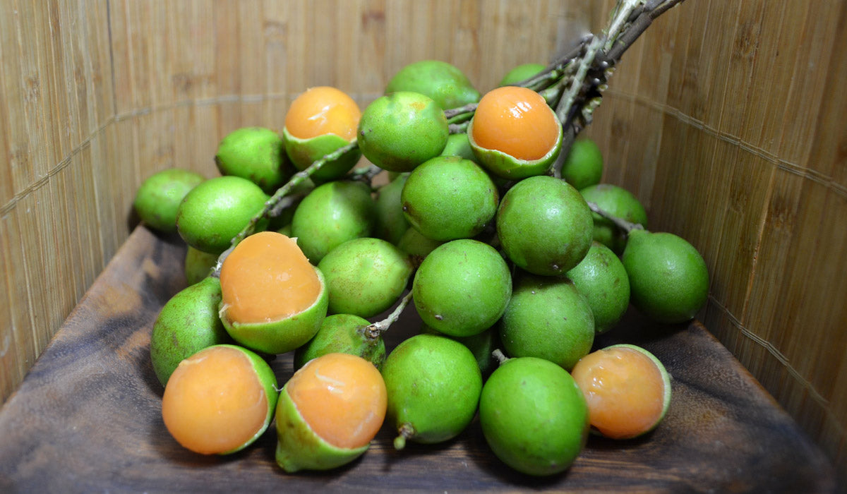  마몬치요 Mamoncillo 에 대해서 알아볼까요?