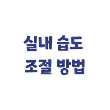 실내 습도 유지 방법