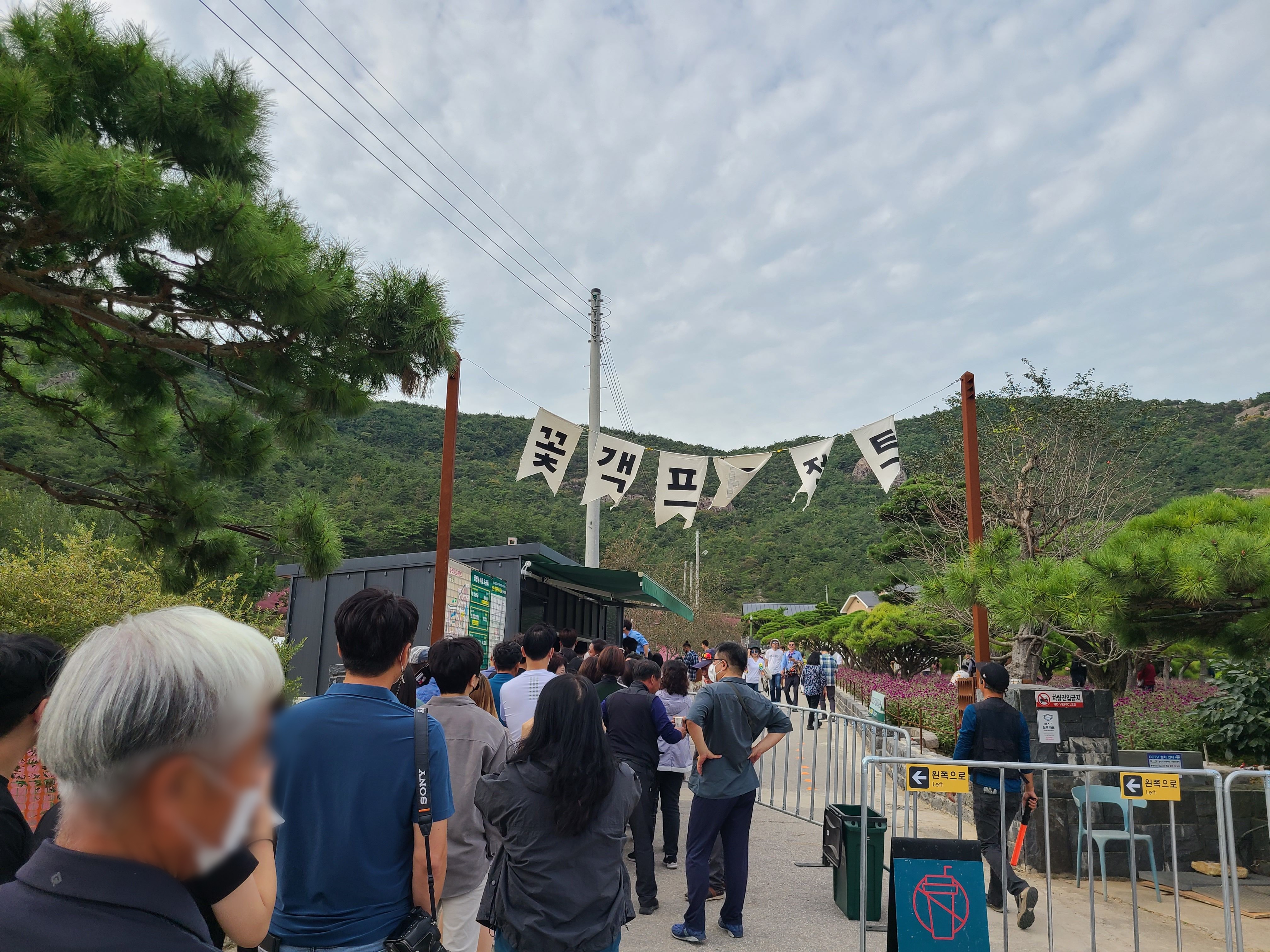 고창 청농원 꽃객프로젝트 핑크뮬리 축제 입장하기 위해 줄을 서고 있는 사람들