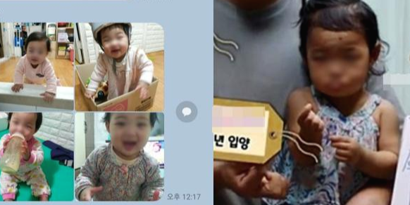  별이 된 16개월아이 “정인아 미안해” 엄벌 촉구