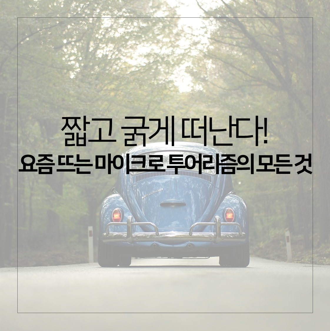 마이크로 투어리즘