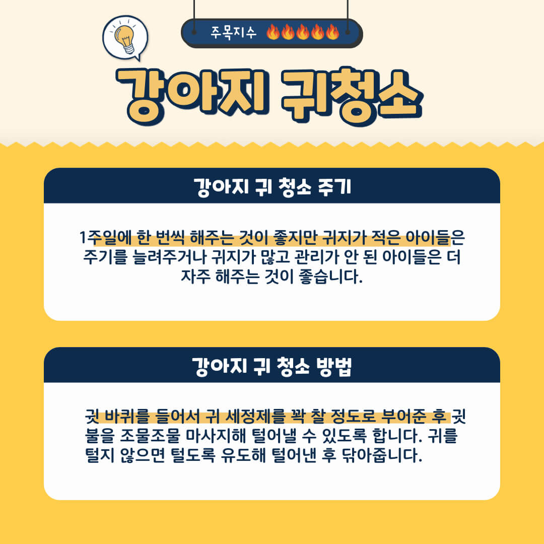 강아지 귀 청소 주기 및 귀 청소 방법