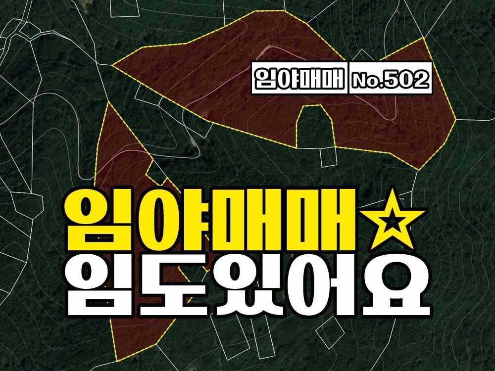  경남고성임야 임도가 있어 차량진입 가능한 해발300미터 임야매매
