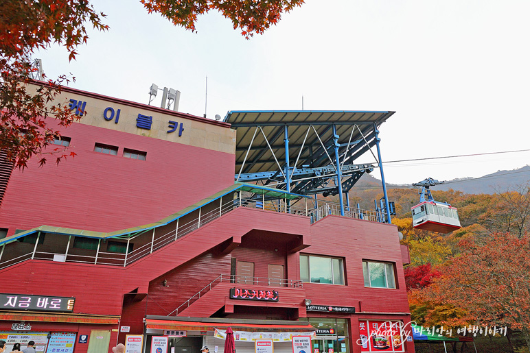 11/5 장산 단풍 절정의 정읍 내장사 27