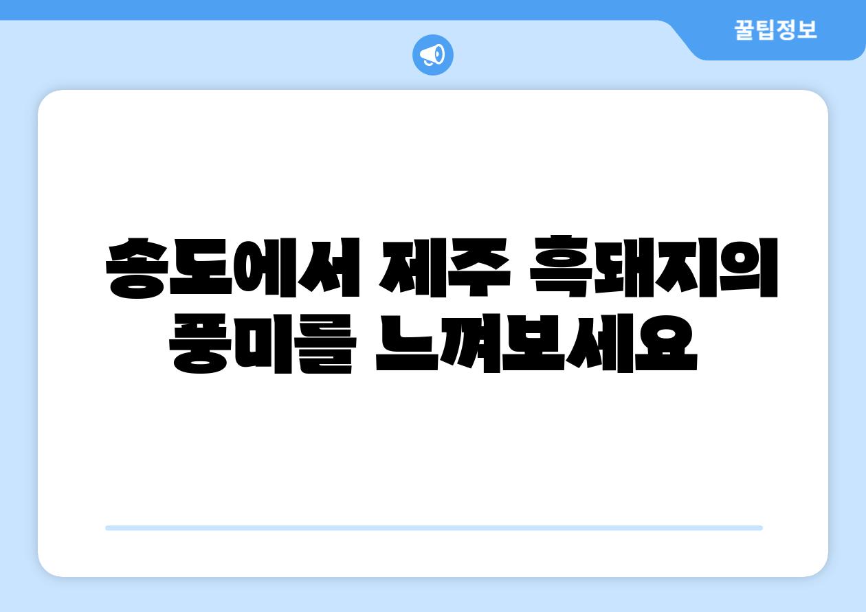  송도에서 제주 흑돼지의 풍미를 느껴보세요
