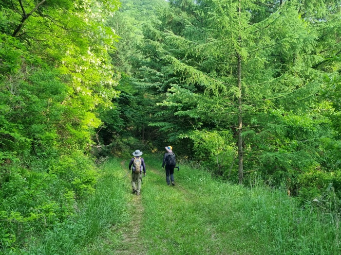 산덕임도
