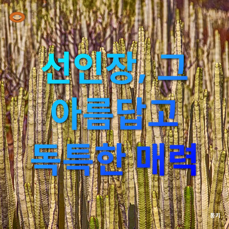 선인장_1