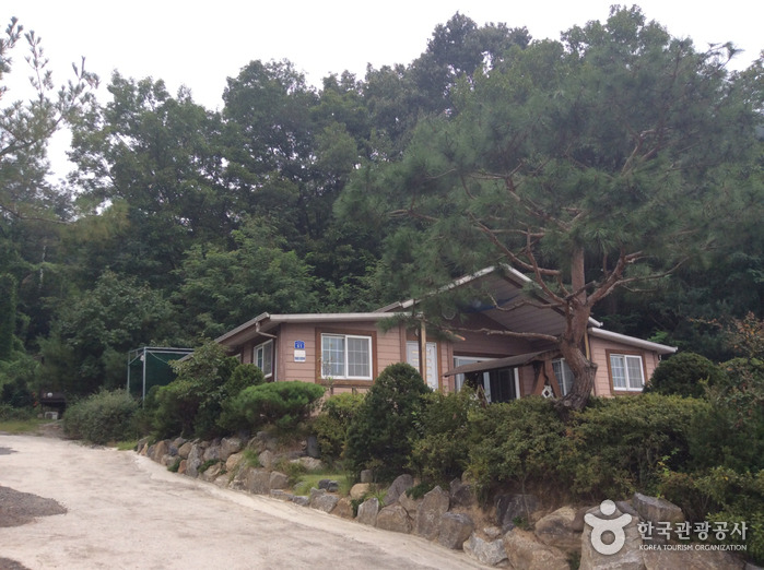 호수위의하루 이미지