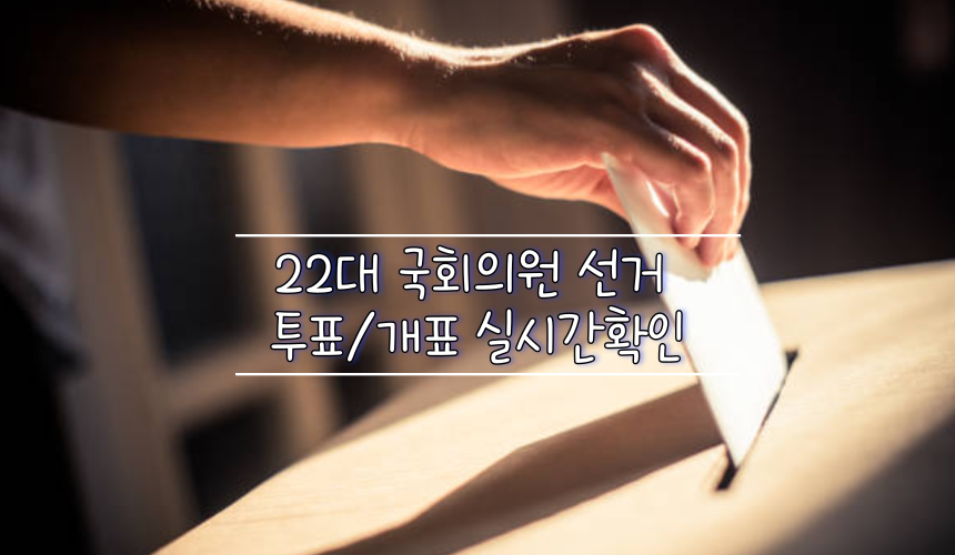  22대 국회의원 선거 투표소 검색 및 투표, 개표 실시간 확인
