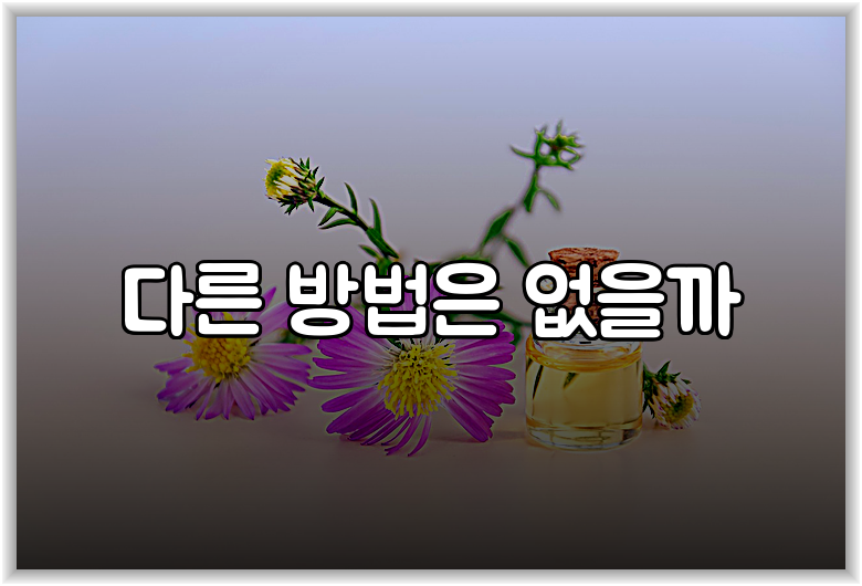 다른 방법은 없을까