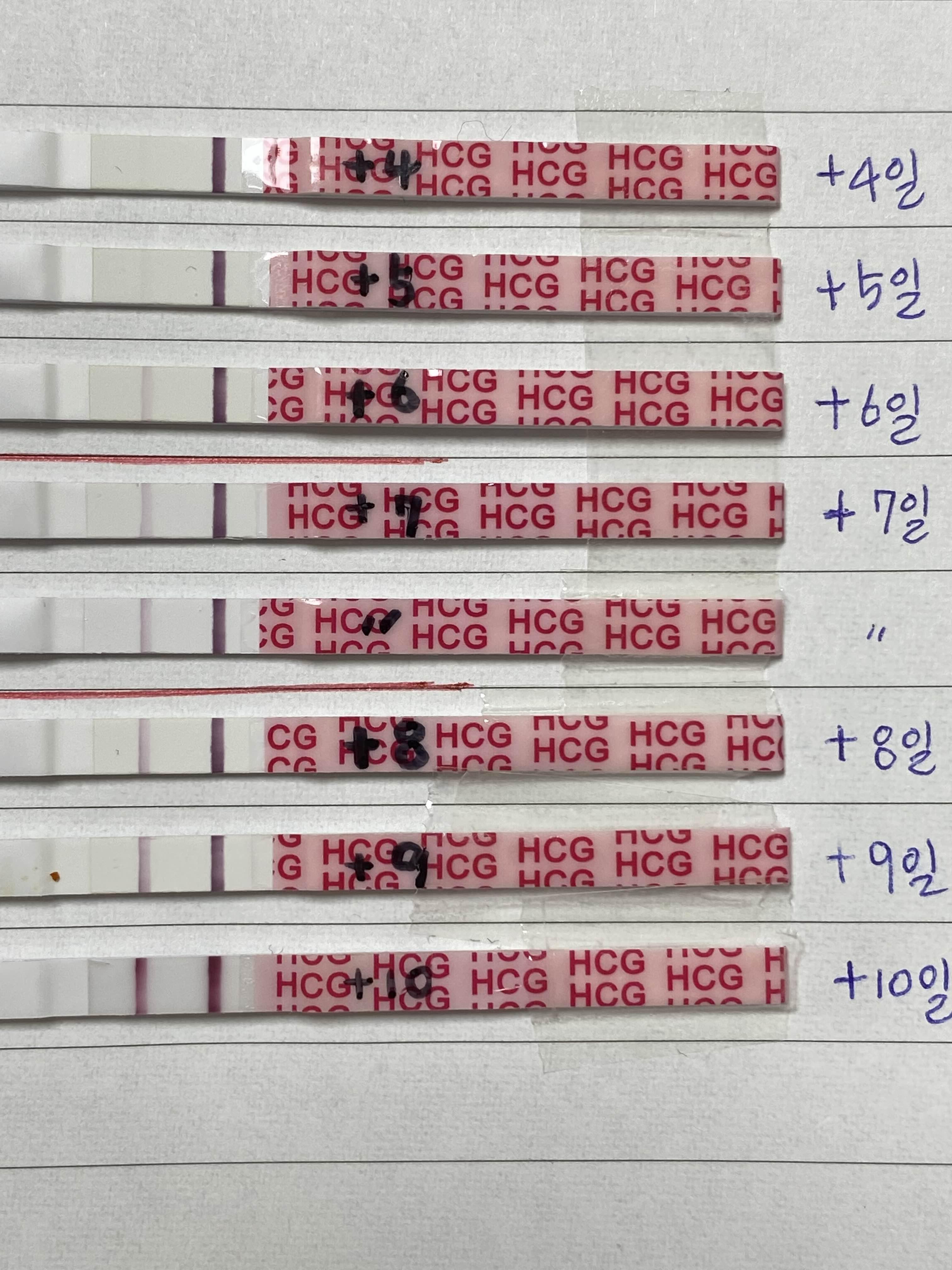 5일배양9일차
