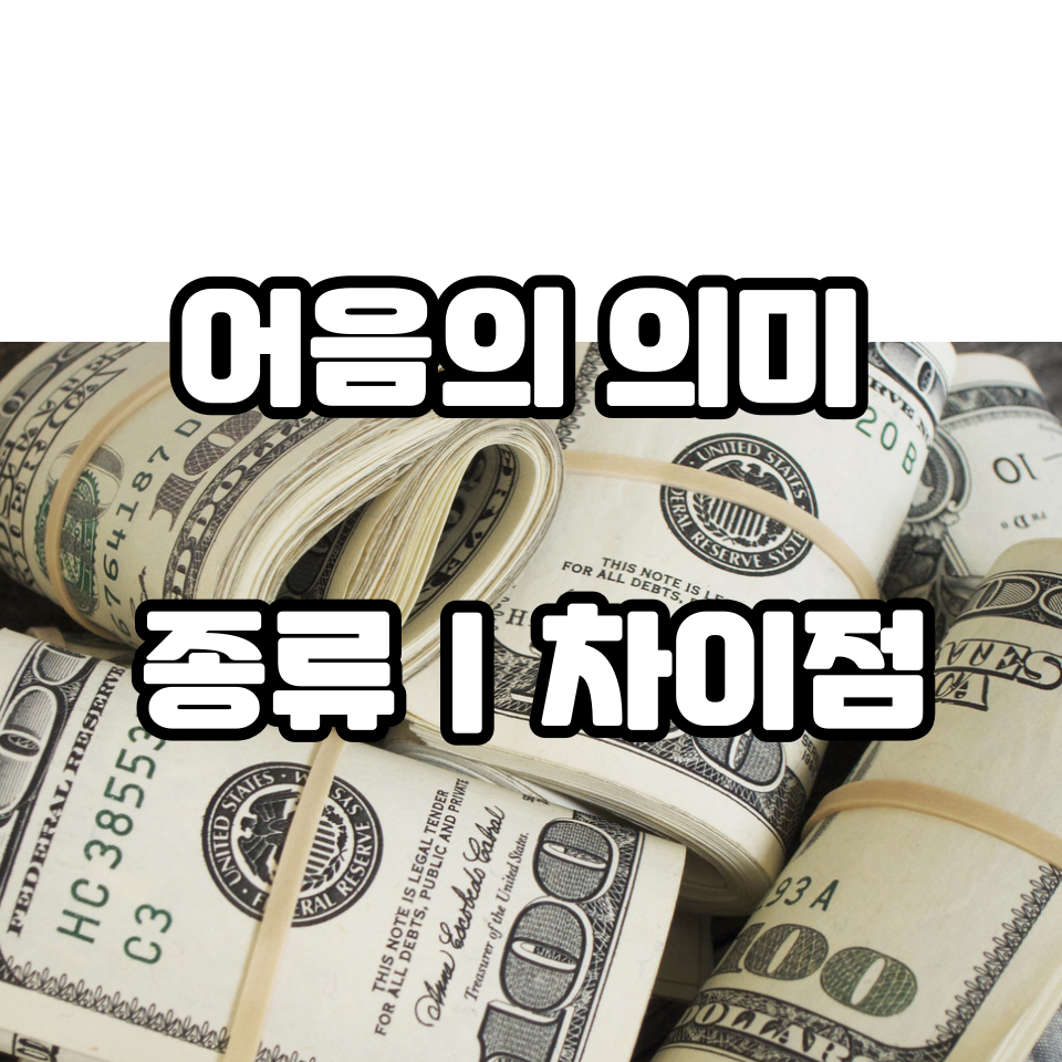 100달러 돈뭉치들