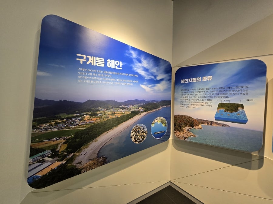 다도해횟집 이미지