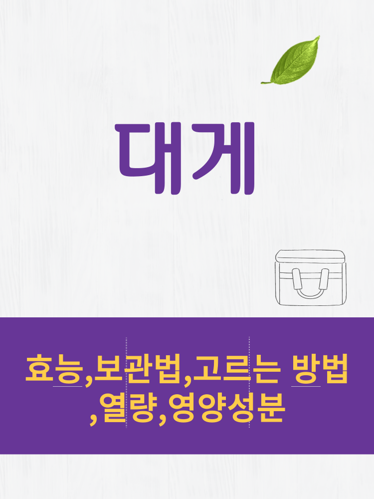  대게 효능 및 열량과 보관법 칼로리 총정리 
