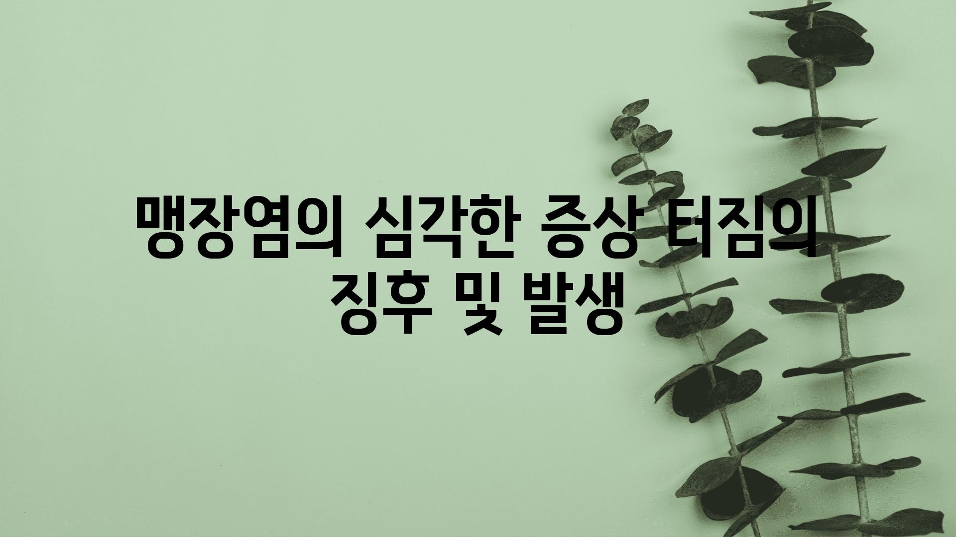 맹장염의 심각한 증상 터짐의 징후 및 발생