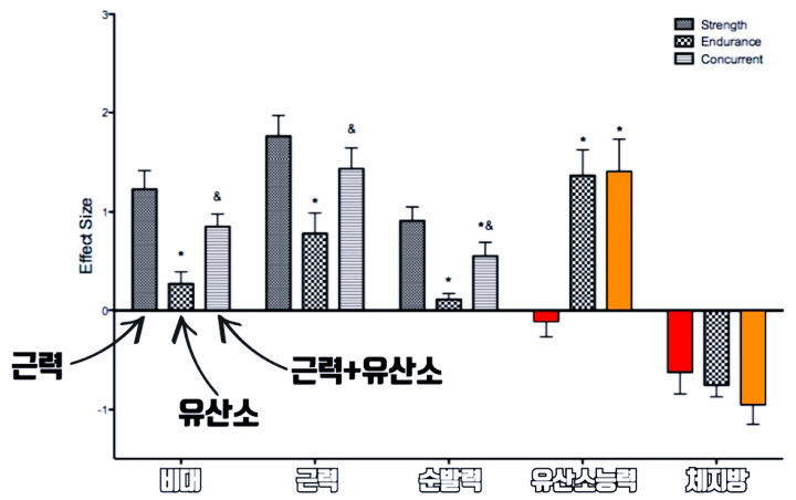 유산소-운동과-무산소-운동을-병행한-그룹이-유산소성-능력과-체지방-감소가-높다는-논문결과