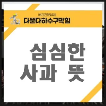 심심한 사과 뜻 한자 논란_9