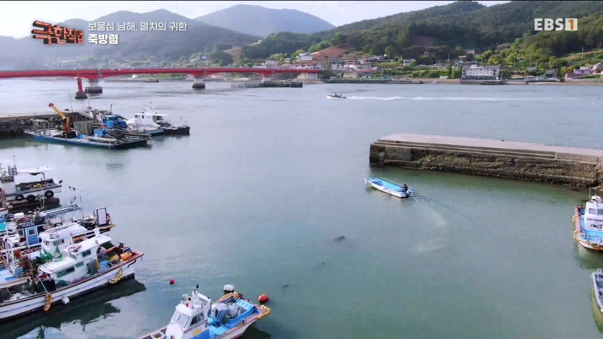 극한 직업 - 보물섬 남해, 멸치의 귀환 1080p.mp4_20230612_202039.590.jpg