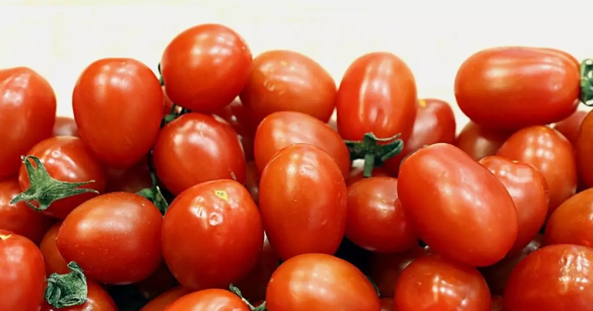  당신이 몰랐던 토마틴(Tomatine)의 놀라운 효과!!!!