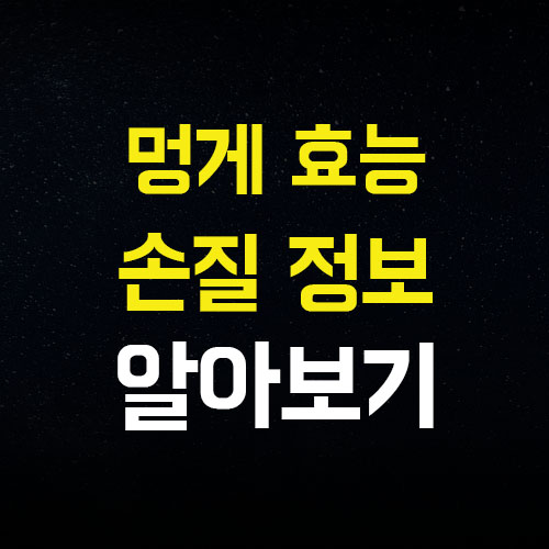  멍게 효능 제철 요리 맛있는 정보가 여기 있네