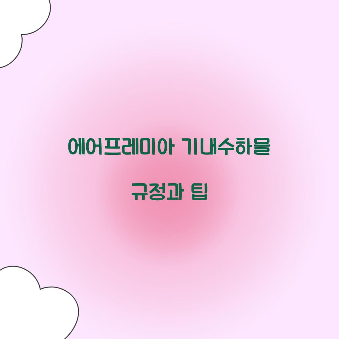 에어프레미아 기내수하물