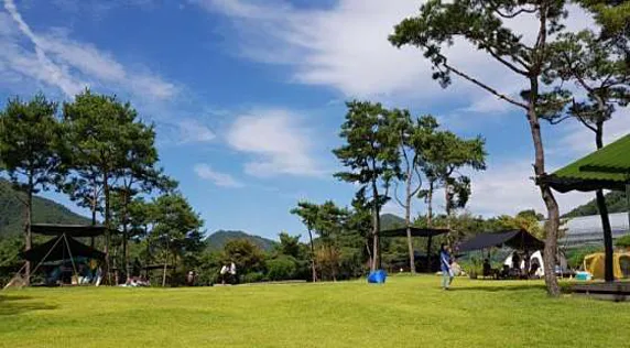 숲속의베리팜
