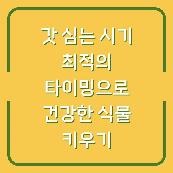 갓 심는 시기 최적의 타이밍으로 건강한 식물 키우기