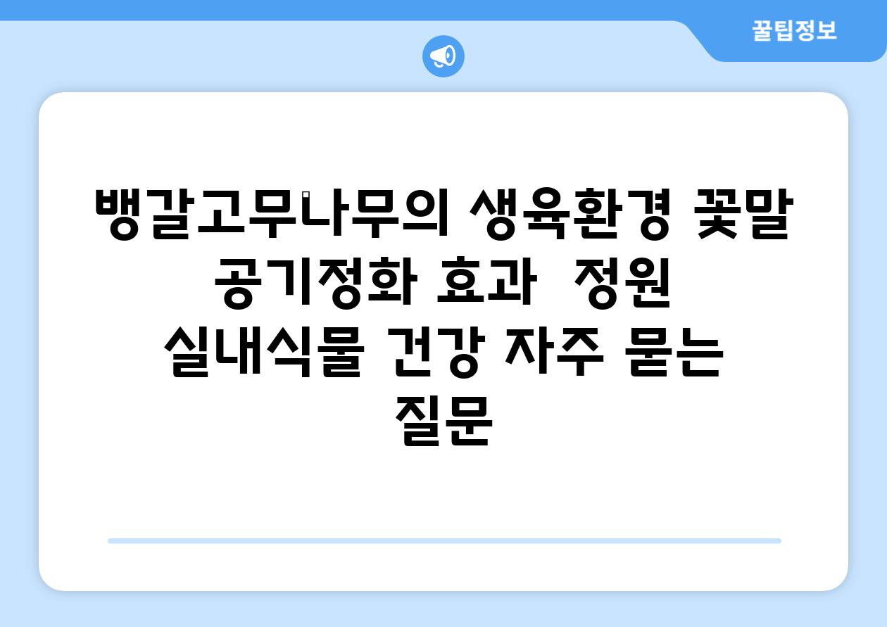 뱅갈고무나무의 생육환경, 꽃말, 공기정화 효과 | 정원, 실내식물, 건강