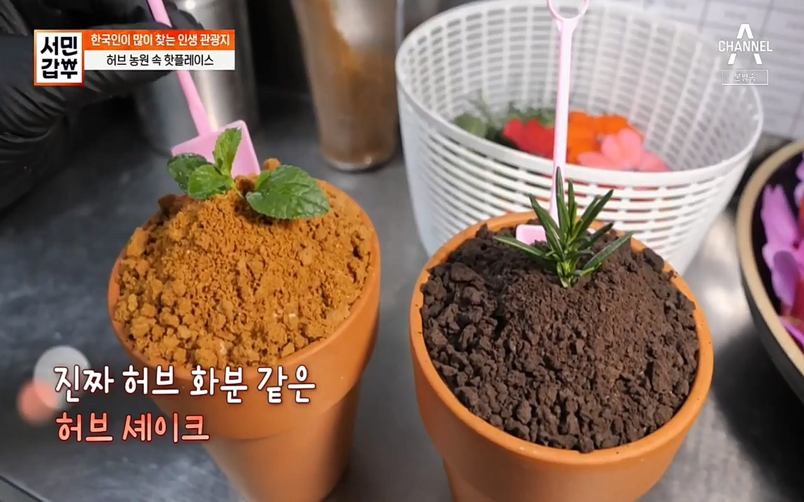 서민 갑부.E380.220424p-NEXT.mp4_20220424_184341.683.jpg