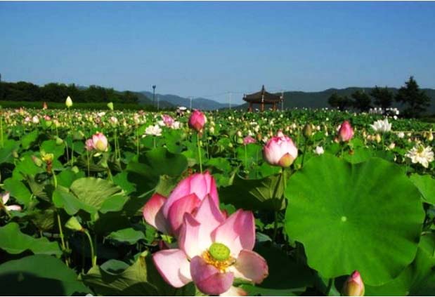  경주 가볼만한곳 베스트10
