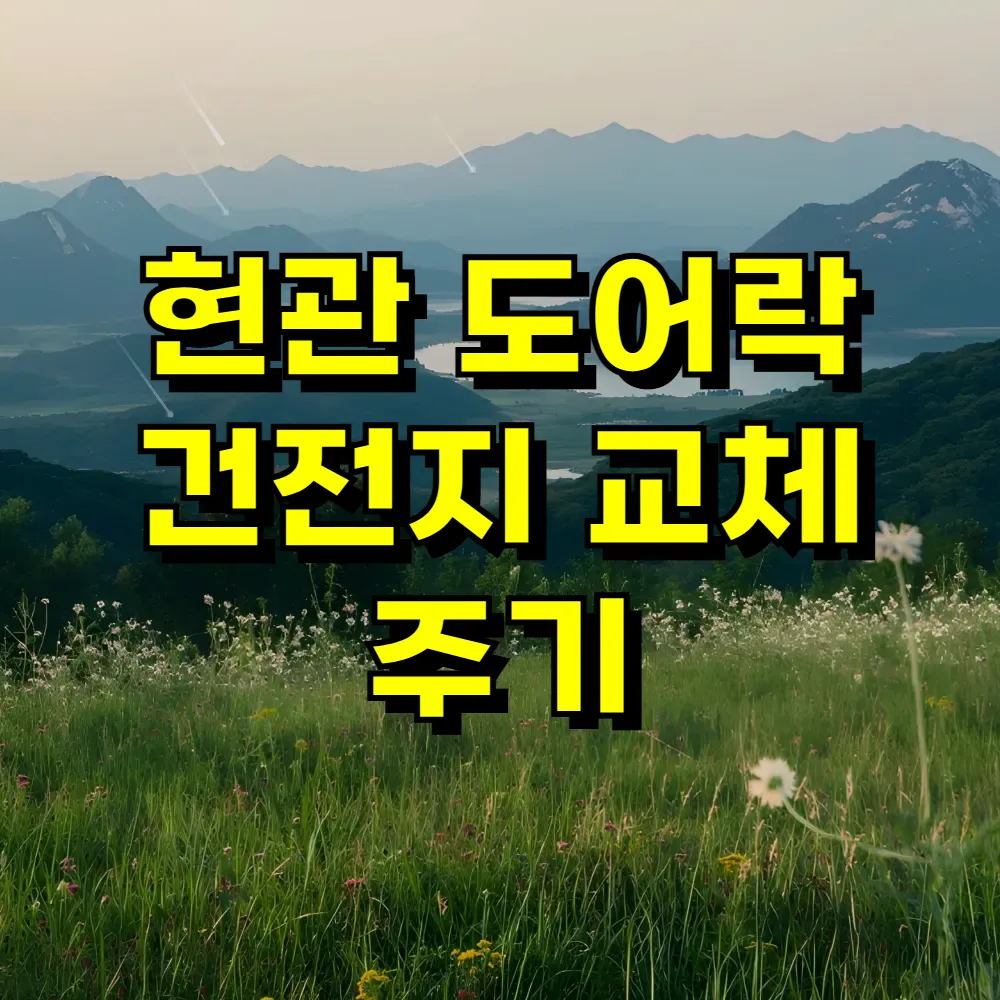현관 도어락 건전지 교체 주기